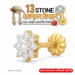 13 Stone Nosepin (Earing+1 stone nosepin Free)