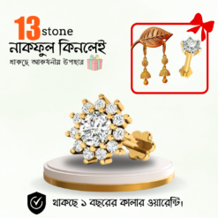 13 Stone Nosepin (Earing+1 stone nosepin Free)